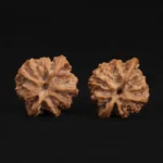 Orange Peel Apple Orchard Walnut - Image 3