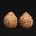 Tortoise Shell Pattern - Image 4