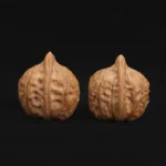 Tortoise Shell Pattern - Image 5