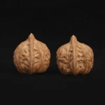 Tortoise Shell Pattern - Image 6