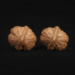 Tortoise Shell Pattern - Image 7