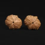 Tortoise Shell Pattern - Image 2