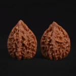 Yunmeng Ghost Ridge Walnut