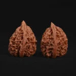 Yunmeng Ghost Ridge Walnut - Image 4