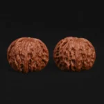Millstone Walnut - Image 6