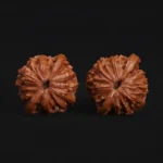 Millstone Walnut - Image 4