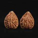 Fire Phoenix Walnut - Image 5