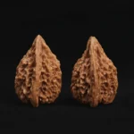Fire Phoenix Walnut - Image 6