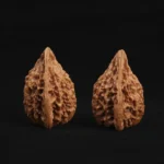 Fire Phoenix Walnut - Image 7