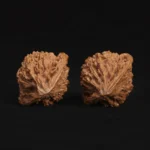 Fire Phoenix Walnut - Image 2