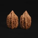 Jade Vase Walnut - Image 4