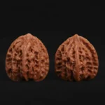 Buddha Belly - Image 5