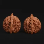 Buddha Belly - Image 6