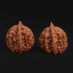 Buddha Belly - Image 7