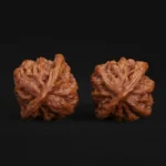 Buddha Belly - Image 2