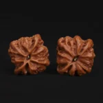 Buddha Belly - Image 3