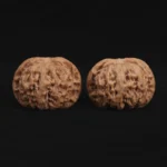 Top Dwarf Walnut on JD