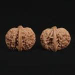 Top Dwarf Walnut on JD - Image 7
