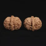 Top Dwarf Walnut on JD - Image 2