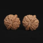 Top Dwarf Walnut on JD - Image 3