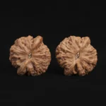 Top Dwarf Walnut on JD - Image 6