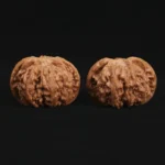 Top Dwarf Walnut on JD