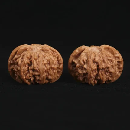 Top Dwarf Walnut on JD