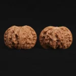 Top Dwarf Walnut on JD - Image 3