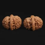 Top Dwarf Walnut on JD - Image 4