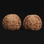 Ximan Zhao Nanjiang Stone Walnut