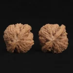 Ximan Zhao Nanjiang Stone Walnut - Image 6