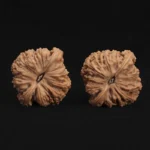 Ximan Zhao Nanjiang Stone Walnut - Image 3