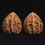 Scholar Crown Walnut - Image 5