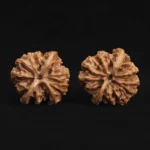 Scholar Crown Walnut - Image 6