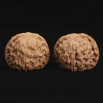 Red Bean Style Lion Head Walnut