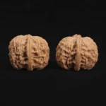 Red Bean Style Lion Head Walnut - Image 5