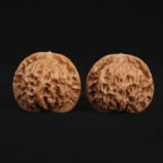 Qin Gongzi Walnut