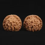 Qin Gongzi Walnut - Image 5