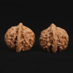 Qin Gongzi Walnut - Image 6