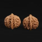 Qin Gongzi Walnut - Image 7