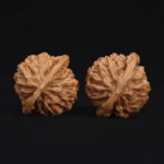 Qin Gongzi Walnut - Image 2